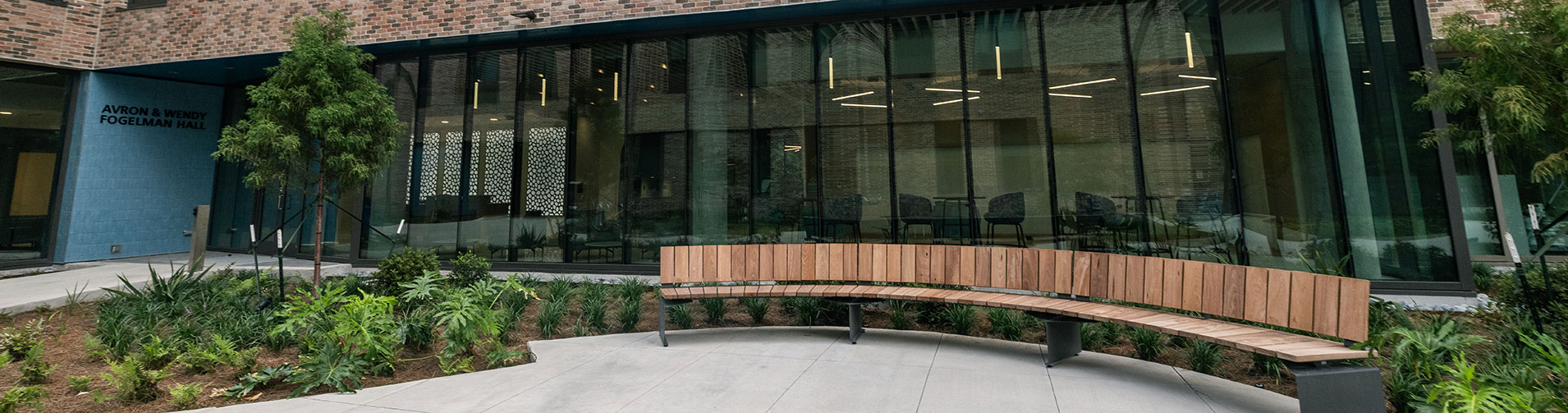 Modern building with large glass windows, a long curved wooden bench, and green plants.
