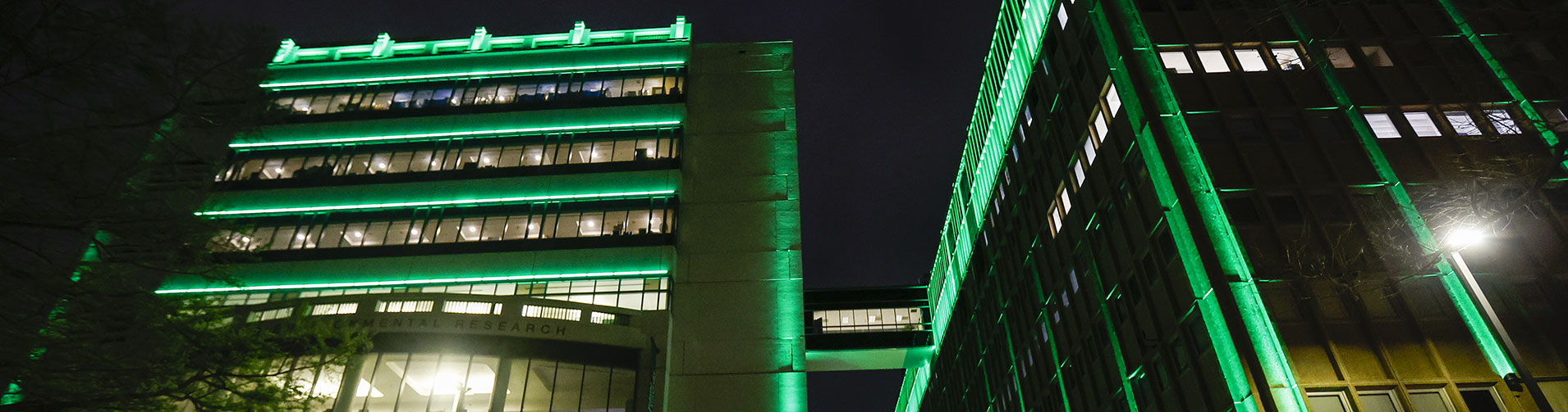 Two buildings at night illuminated with vibrant green lights against a dark sky.